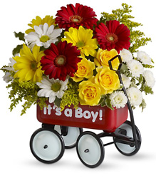 Baby's Wow Wagon by Teleflora from Victor Mathis Florist in Louisville, KY